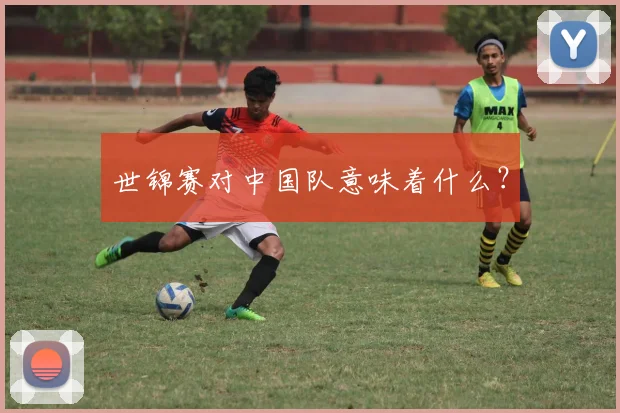 世锦赛对中国队意味着什么?